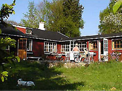 Bornholm: Folkemøde overnatning Sommerhus, Feriehus, Hotel, Pension
- 4 - 6 Personen Sommerhus på Bornholm
Sol på tagterrassen det meste af dagen
Beliggende på en vidunderlig naturgrund, tæt på indkøbsmuligheder i et økologisk gartneri, Super Brugsen, Rønne Syd og Netto, Rønne Øst. Mulighed for ridning, vandreture gennem Onsbæk Skov, en tur ad vandrestier til Bornholms Golfbane, eller bare en tur il Fredensborg Strand med klipper og sandstrand som kan byde på en dejlig badeoplevelse i Østersøens bølger. Til centrum, bager og strand er der kun ca. 15 minutter, så mere centralt kan det ikke blive. Bornholm: Folkemøde overnatning Sommerhus, Feriehus, Hotel, Pension
- Sommerhus Leopold 1