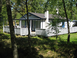  -  Dueodde Sommerhus 