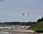 Boderne - Bornholm
