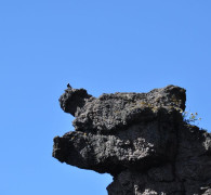 Hammerhafen bootsfahrt - Bornholm - Hammerhavn Bådfart