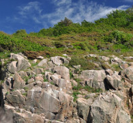 Hammerhafen bootsfahrt - Bornholm - Hammerhavn Bådfart