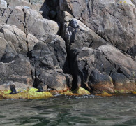 Hammerhafen bootsfahrt - Bornholm - Hammerhavn Bådfart