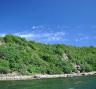 Hammerhavn_sejltur_92.JPG