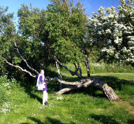 Hasle - Bornholm
