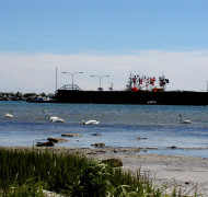Snogebæk - Bornholm