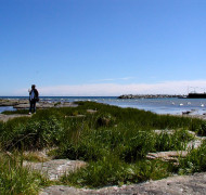 Snogebæk - Bornholm