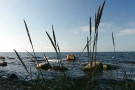 blick-aufs-meer-bei-vang-auf-bornholm.jpg