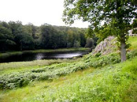 soe_lilleborg.jpg